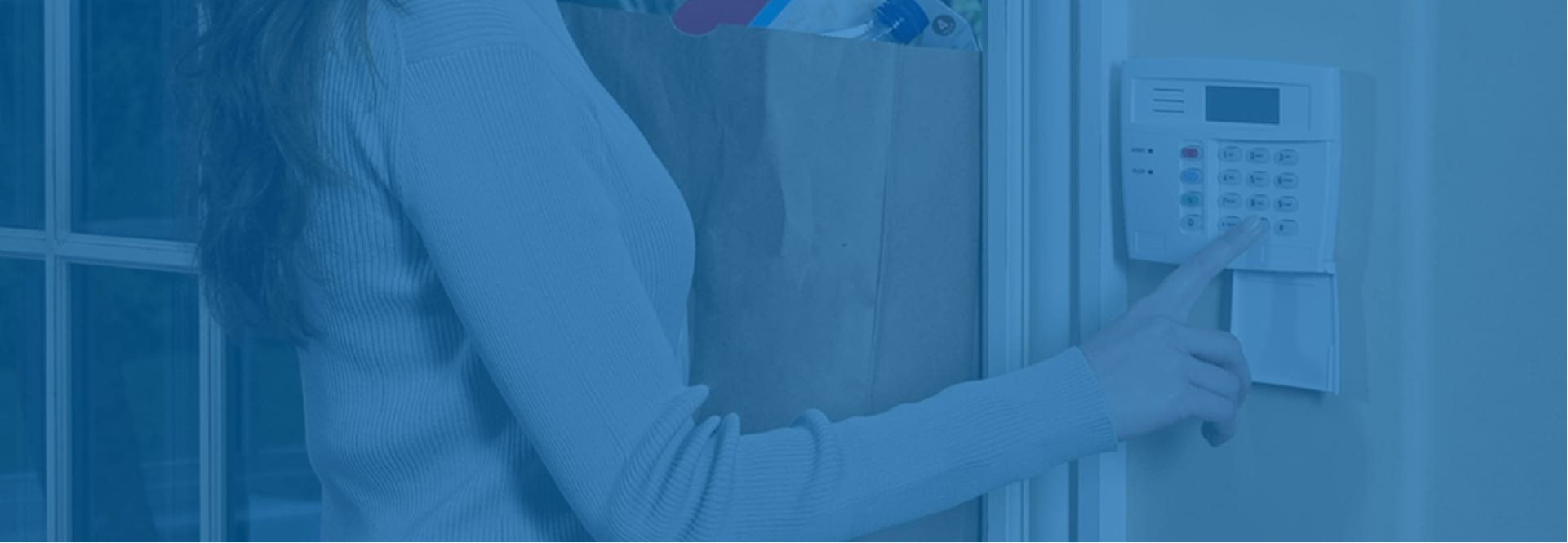 Burglar Alarms – Wired systems